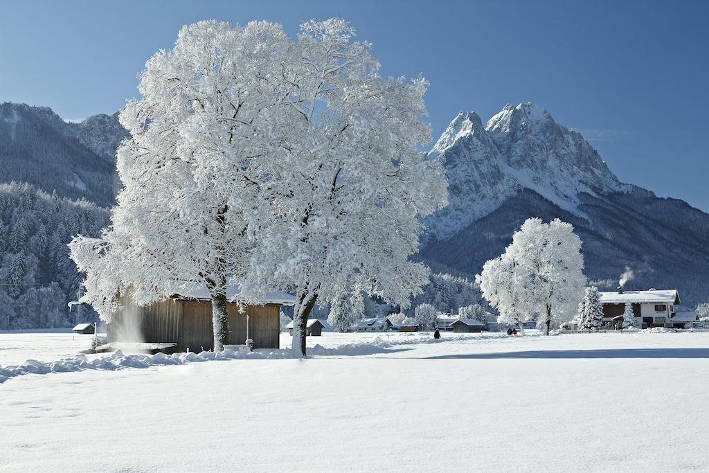 Luftikus Lodge Garmisch-Partenkirchen Bagian luar foto